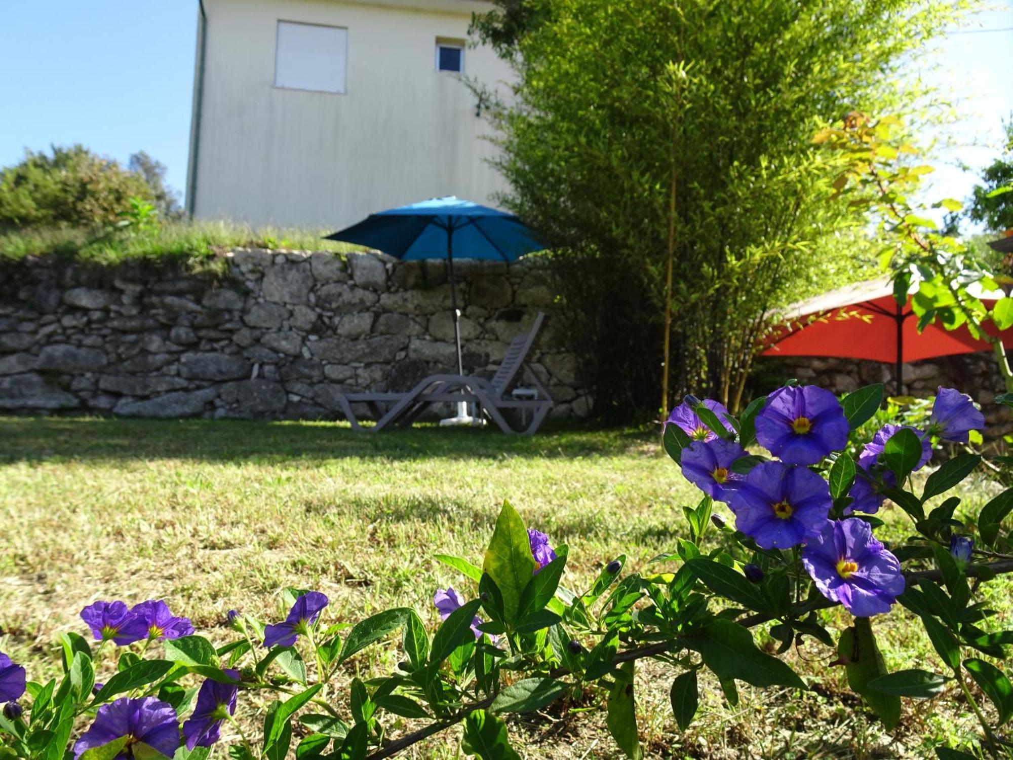 A Casa Com 2 Pereiras Terras de Bouro Exterior foto